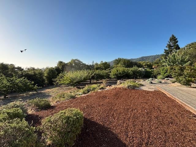 Property Photo:  25900 Vinedo  CA 94022 