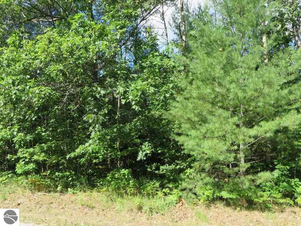 Property Photo: 2143 E Log Lake Road MI 49646