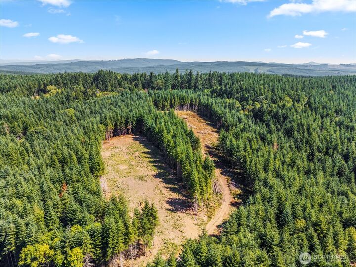 Property Photo:  1161  Thimbleberry Drive  WA 98611 