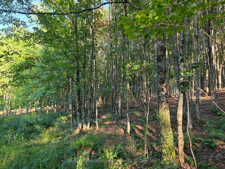 Property Photo:  1026 Puffer Road  ON K0M 2K0 