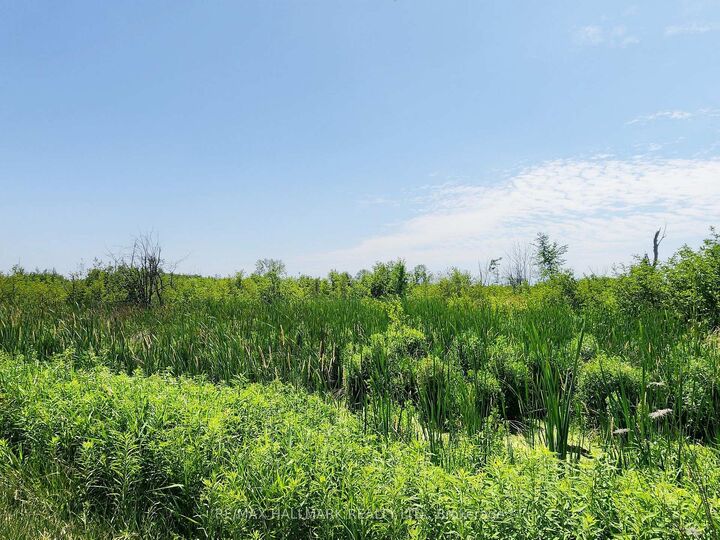 20200 Highway 48 N/A — photo 1