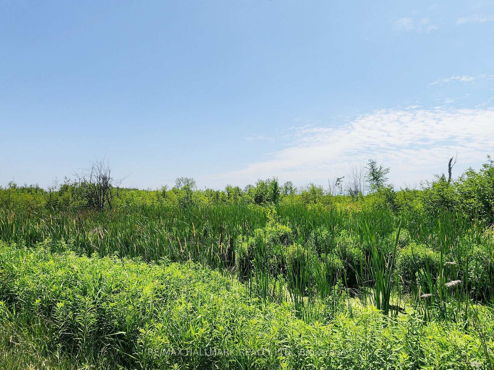 Property Photo:  20200 Highway 48 N/A  ON L0G 1M0 