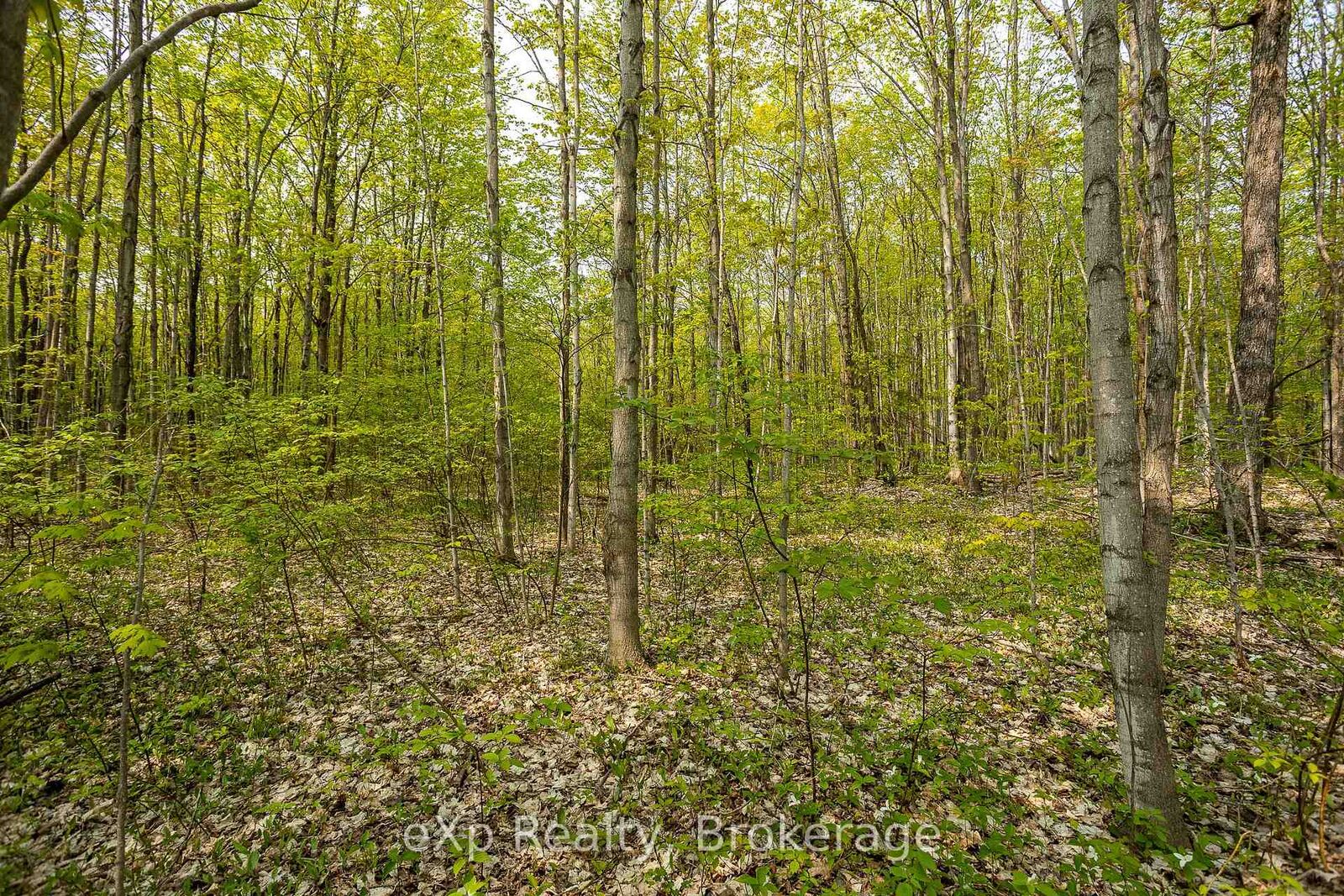Property Photo:  Pt Lot 20 Con 5 N/A  ON N0H 1G0 