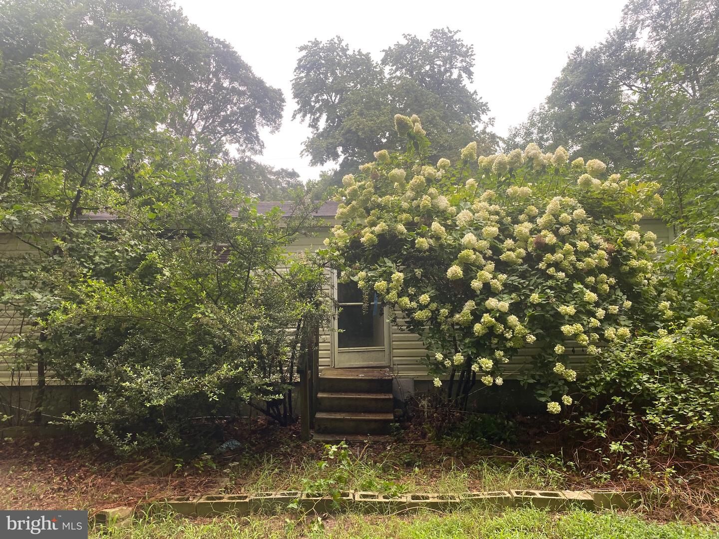 Property Photo: 22056 Laurel Road DE 19966