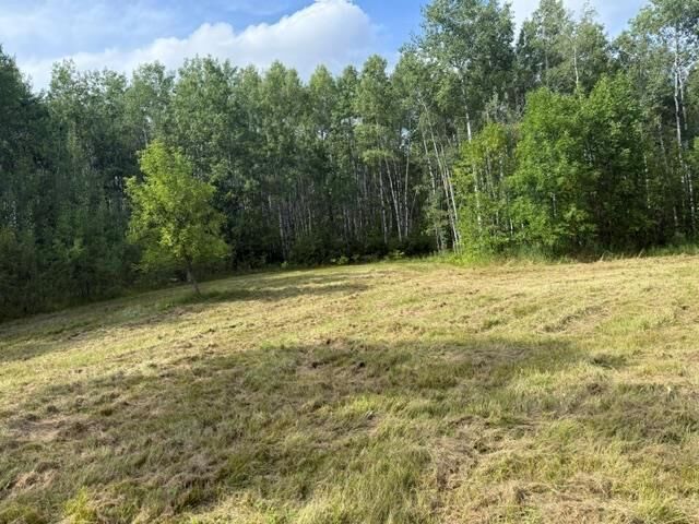 Photo de la propriété:  82091 Boggy River Road  MB R0E 0L0 