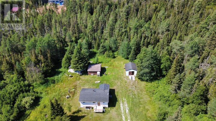 Property Photo:  38-44 Juniper Avenue  NL A8A 2M7 