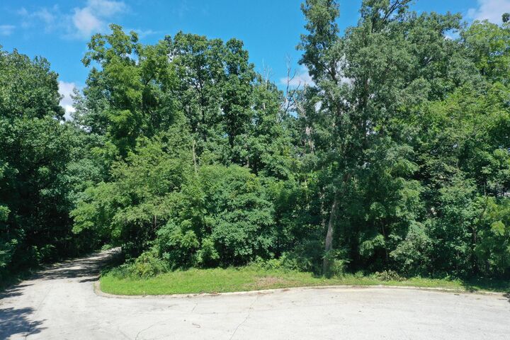 Property Photo:  0 Freedom Lake North Court  IN 46385 