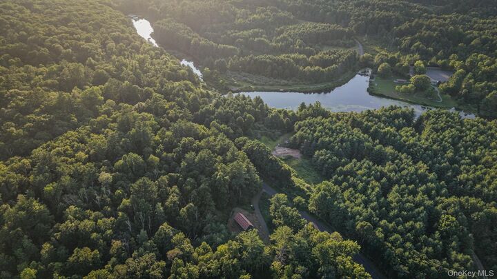 Property Photo:  281 Cold Brook Road  NY 12409 