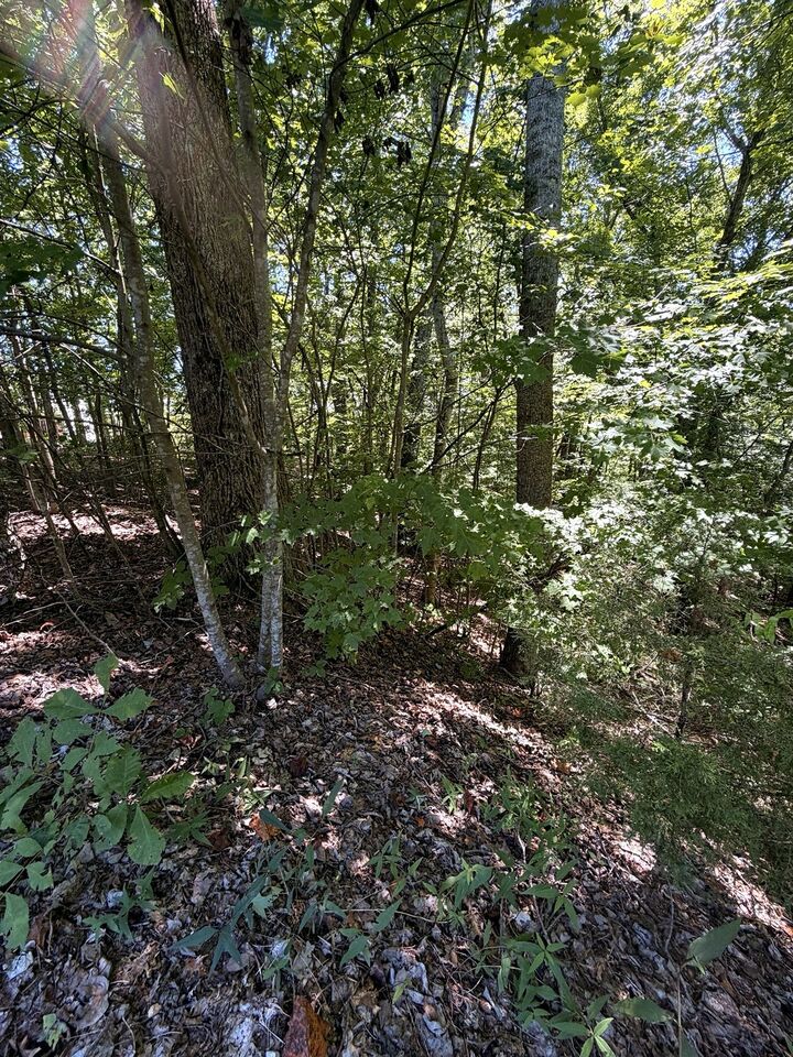 Property Photo:  0 Tennis Center Dr  TN 37166 
