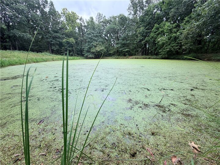 Property Photo:  240 Colton Lane  MO 64867 