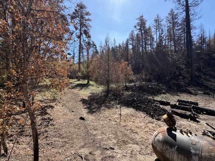 Property Photo: 8890 Ula Trail CO 81023