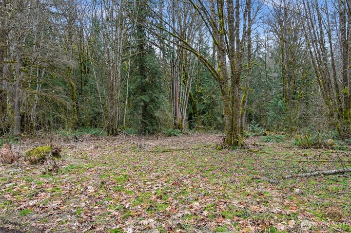 Property Photo:  7738  Maple Drive  WA 98266 
