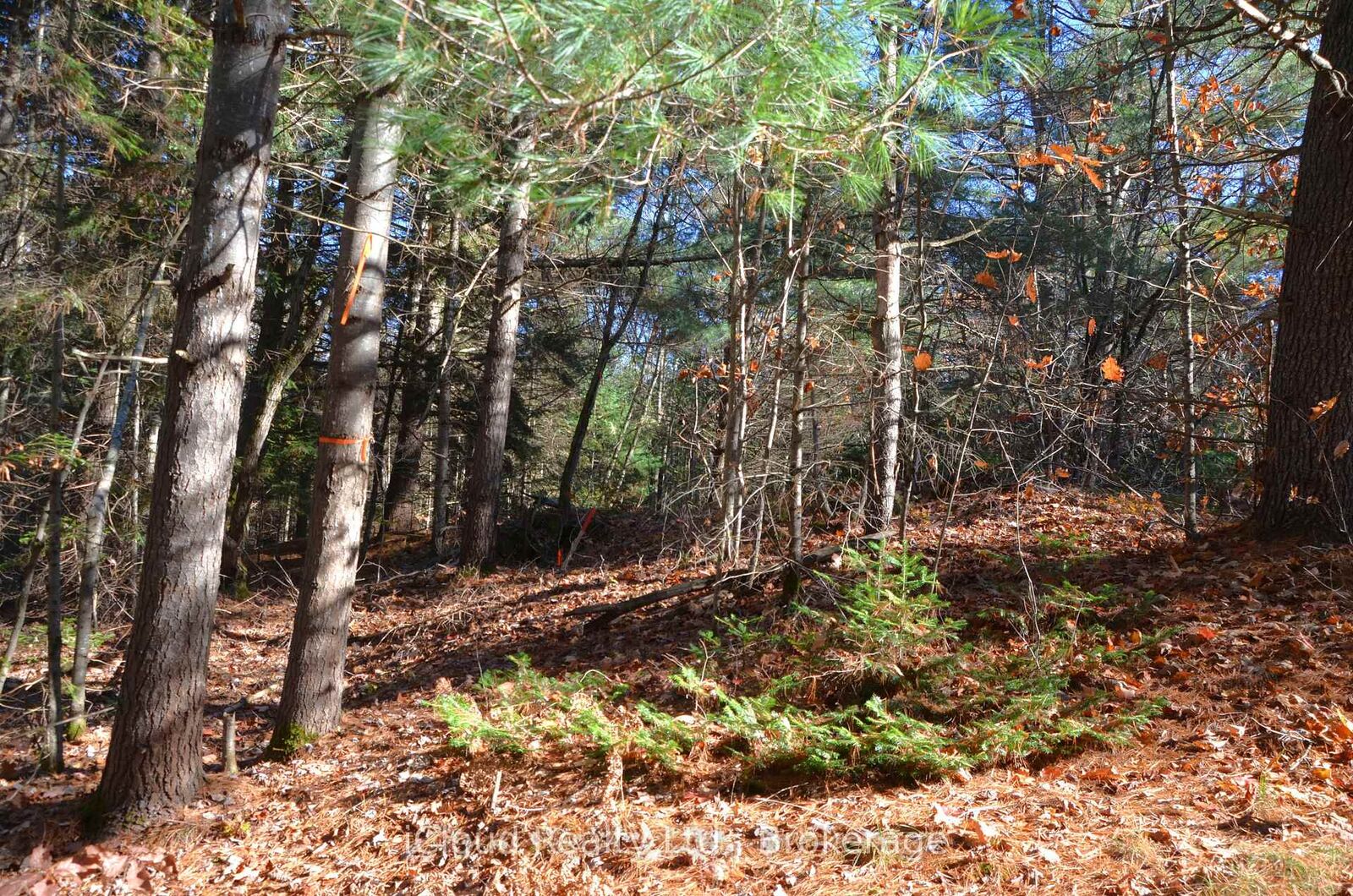 Property Photo:  3 Parker Bay Road  ON P0A 1G0 