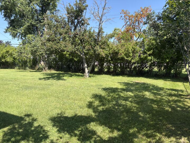 Property Photo:  211 Princeton Avenue  MI 49707 