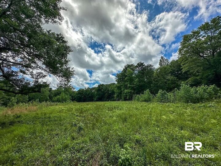 Property Photo:  0 Loree Road  AL 36401 