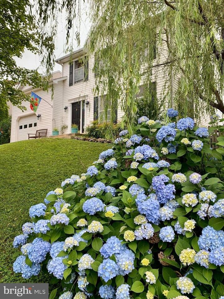 Property Photo:  241 Breezewood Drive  VA 20186 