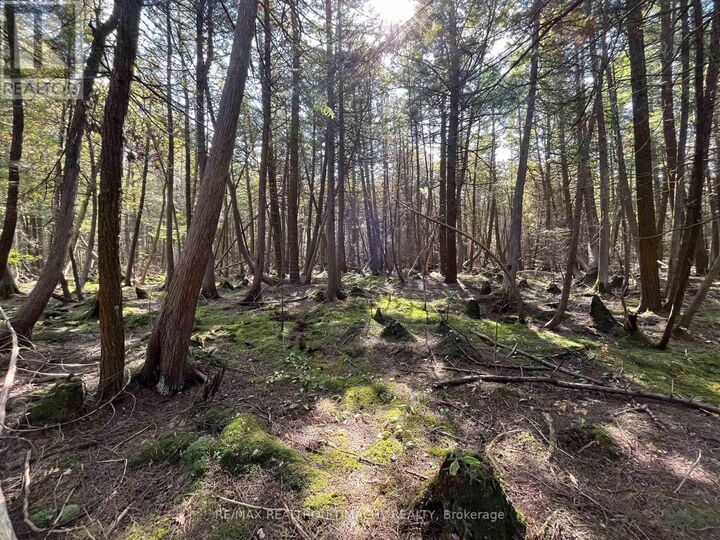 Property Photo: Lot 25 Champlain Road ON L9M 0C3