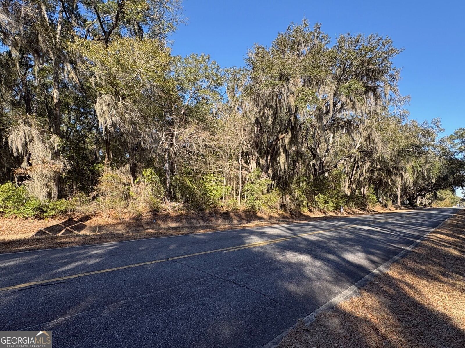 Property Photo:  0 Trade Hill Road  GA 31320 