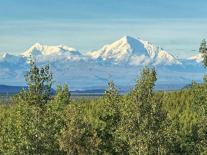 Property Photo:  L3233 Cathy Lane Nhn Debbie Lane  AK 99737 