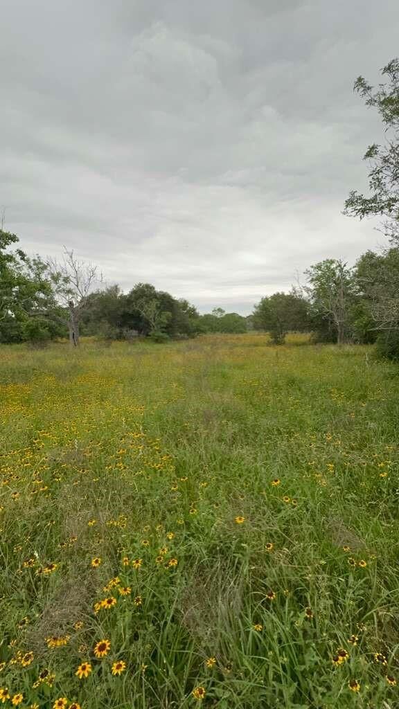 Property Photo: Tbd Tbd TX 78934