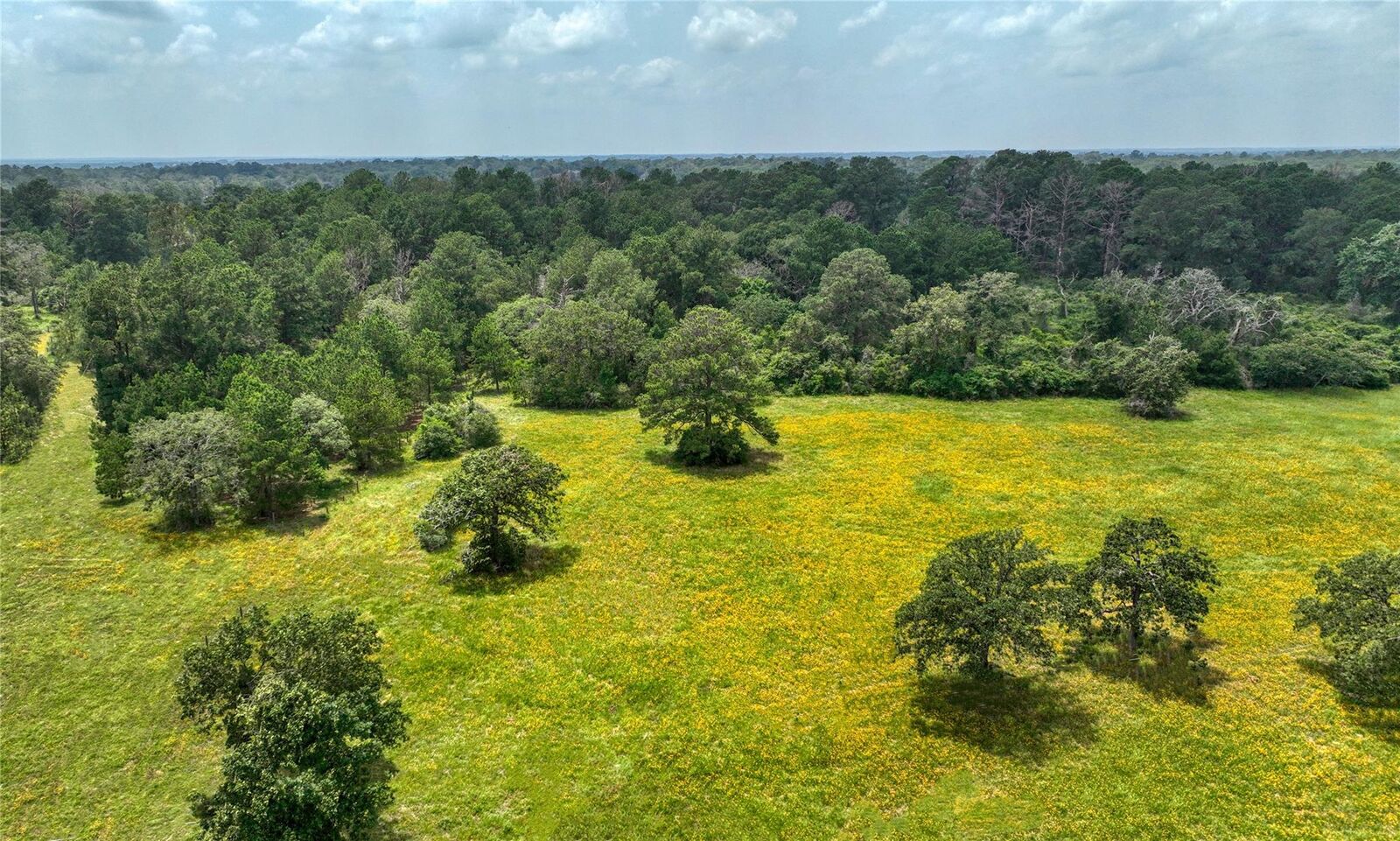 Property Photo: 4749 Highway 36 N TX 77418