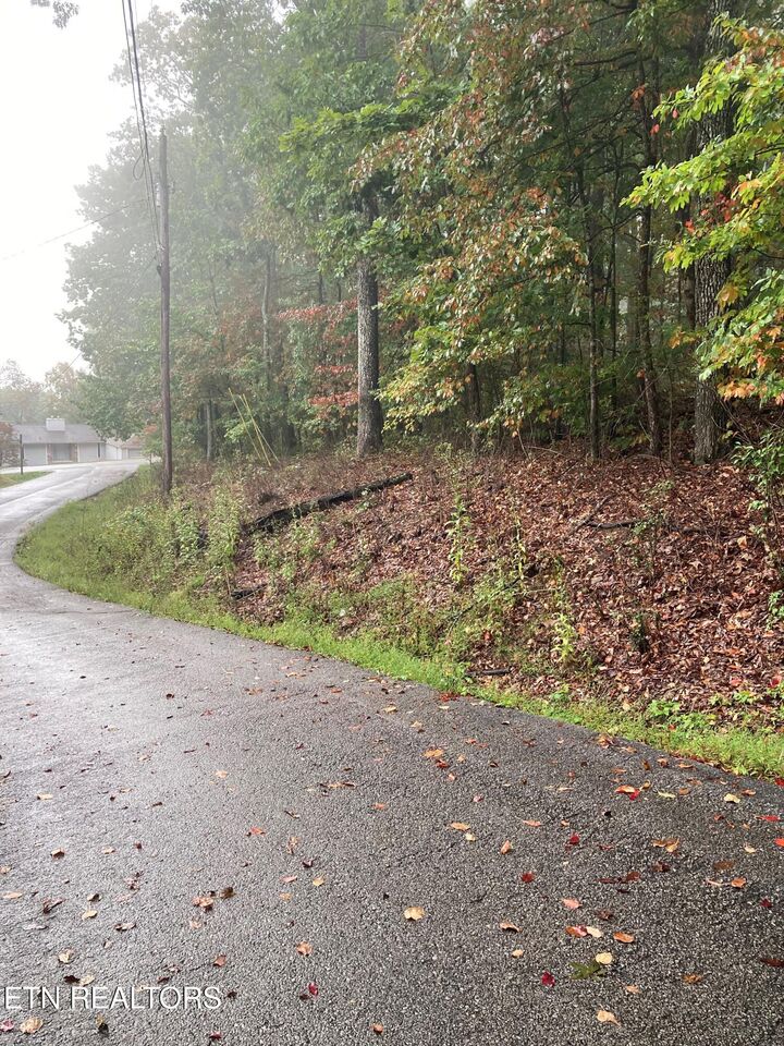 Property Photo:  127 Brokenwood Lane  TN 38558 