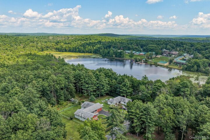 Property Photo: 492 White Road NY 12737