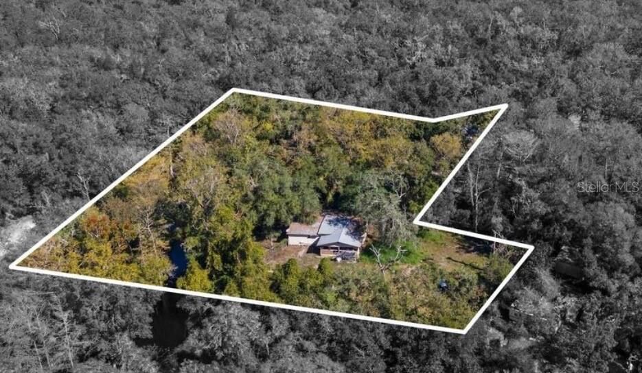 Property Photo: 9347 River Rock Drive FL 33597