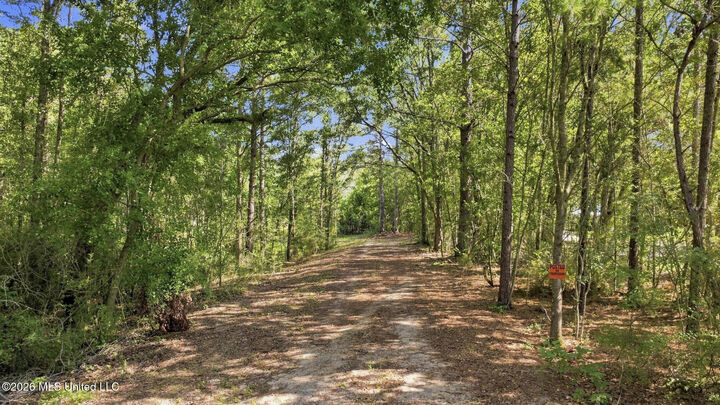 Property Photo: 132 Cody Goldman Road MS 39452