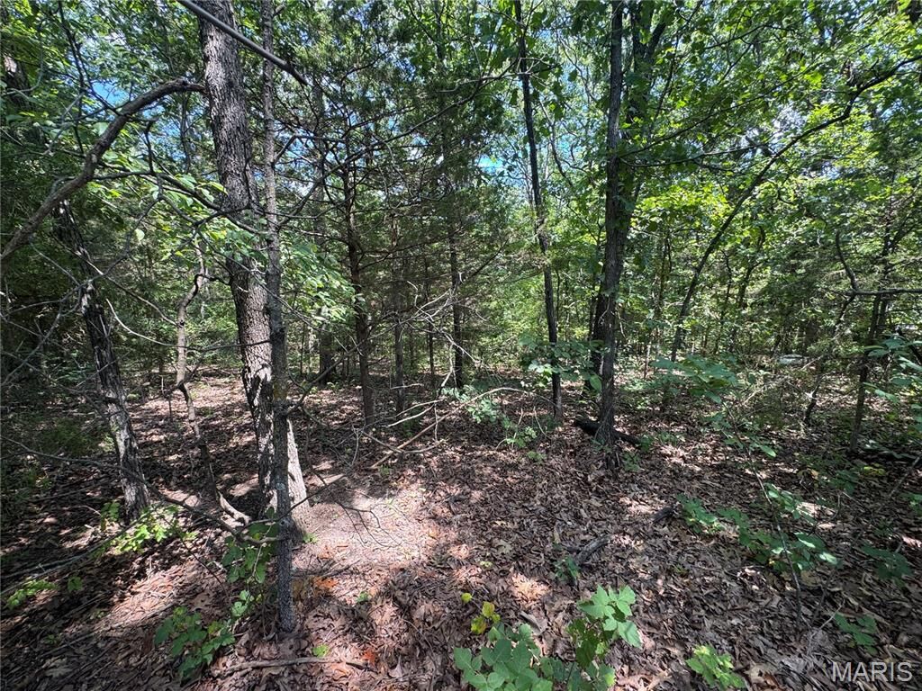 Property Photo:  0 Rue Marne  MO 63628 