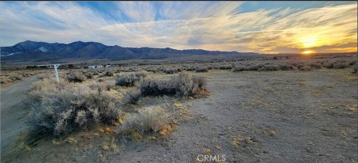 Property Photo:  0 Alamo  CA 92356 