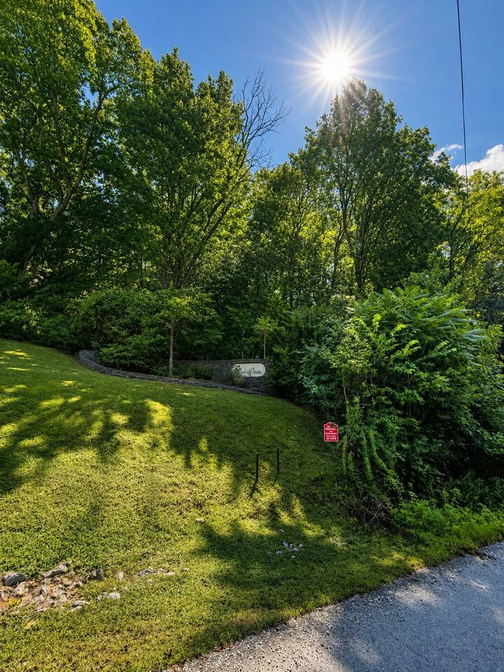 Property Photo: 0 Harbor Pointe Lane TN 37166