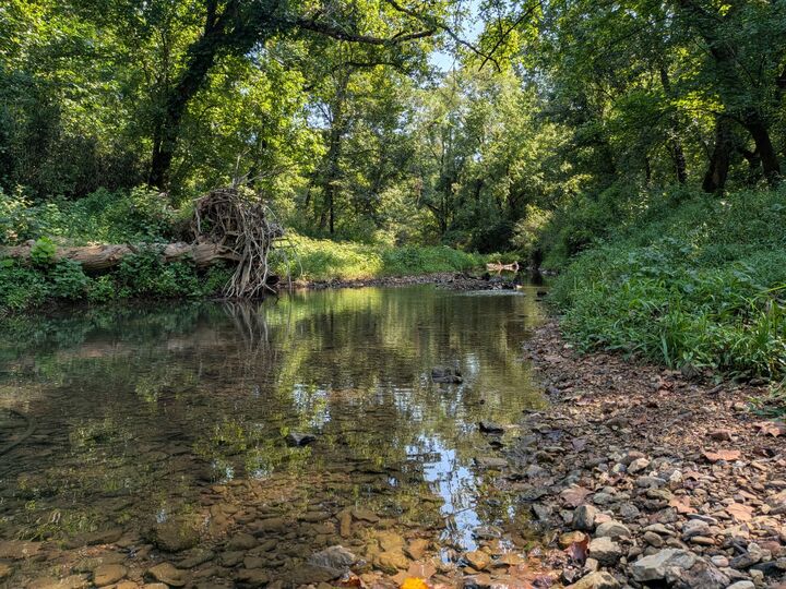 Property Photo: 3229 Jarrell Ridge Rd TN 37043