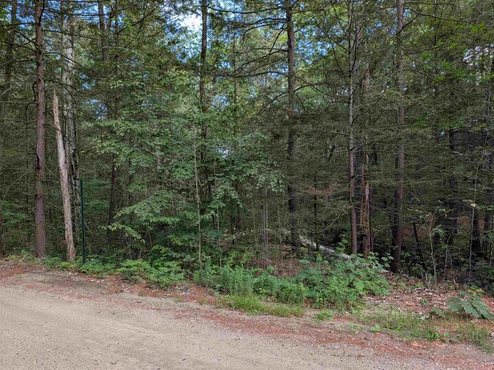 Property Photo:  D46 Sand Hill Road  NH 03086 