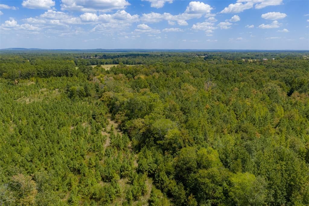 Property Photo: N County Road 1207 TX 75785