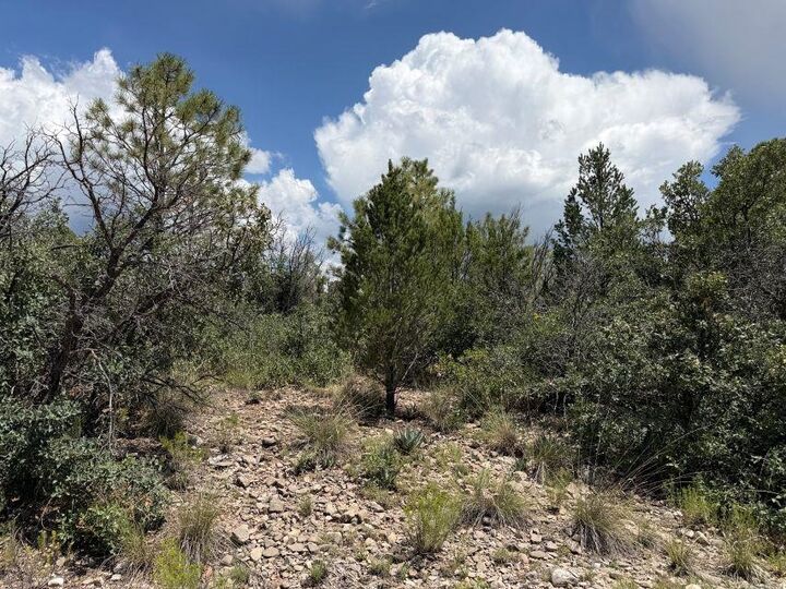 Property Photo: 44 Sunol Valley Dr NM 88350