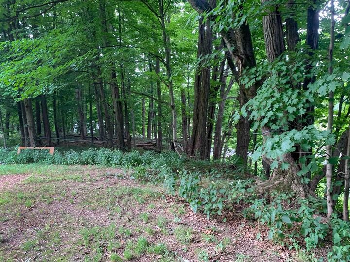 Property Photo:  0 Chestnut Plain Rd (Ws)  MA 01093 