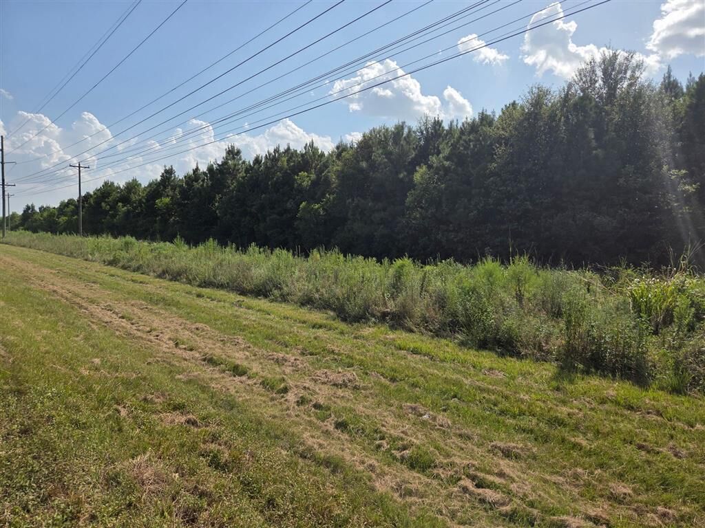 Property Photo: Highway 171 LA 70657