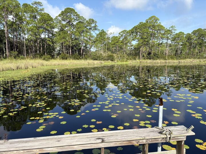 Property Photo: Xxxx Rainey Trail Trail FL 32346