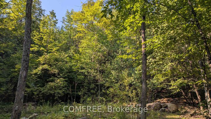 Property Photo:  4859 Opeongo Road  ON K0A 3M0 