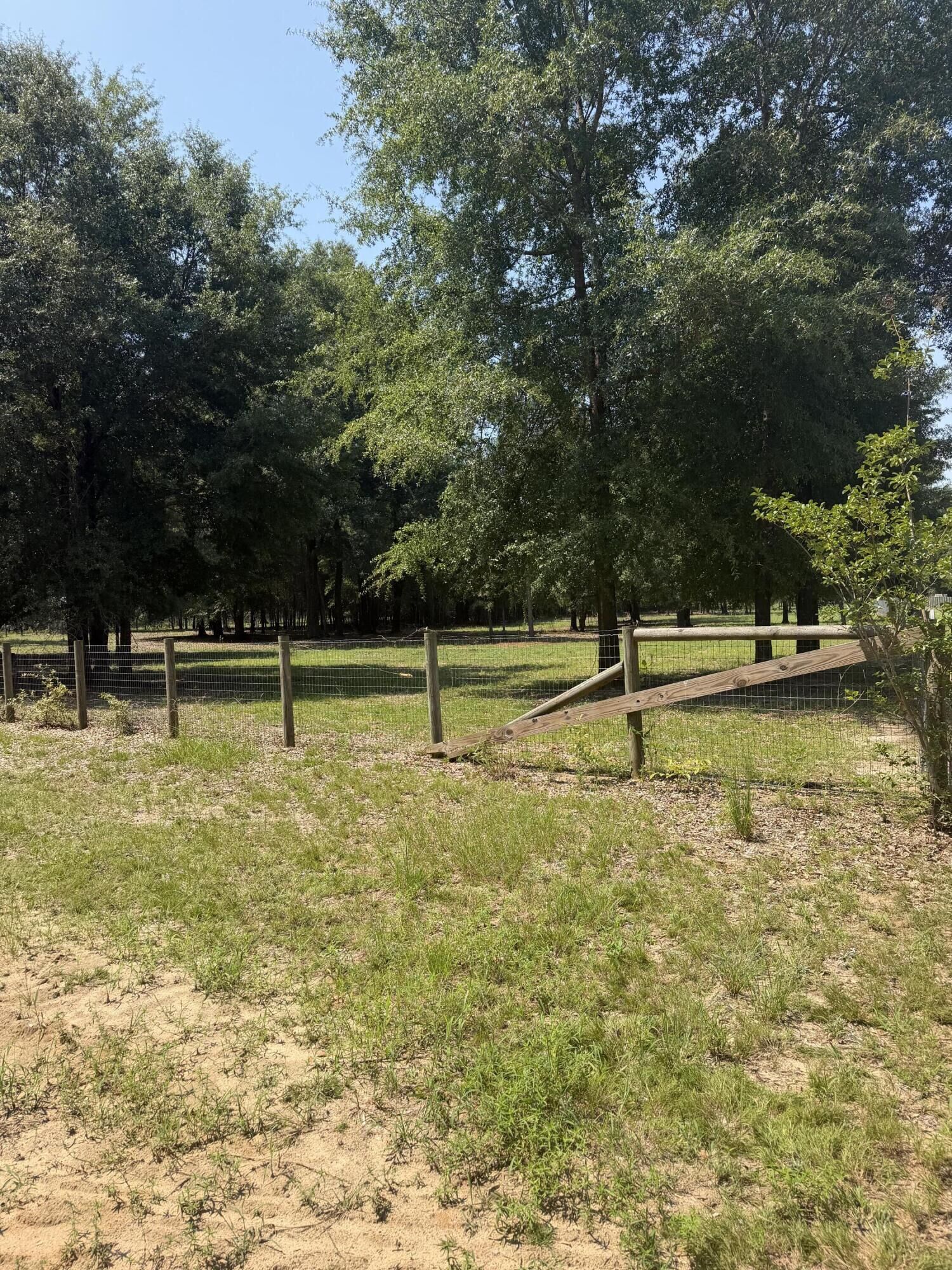 Property Photo: 111 Centerwood Lot 5 Road SC 29856