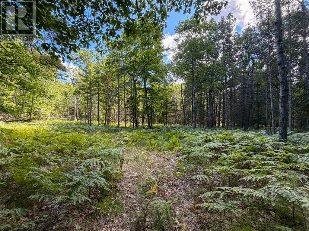 Property Photo:  N/A McArthur Trail  ON P0P 1H0 