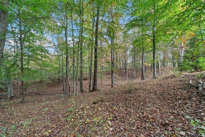 Property Photo:  000 Ammons Drive  GA 30183 