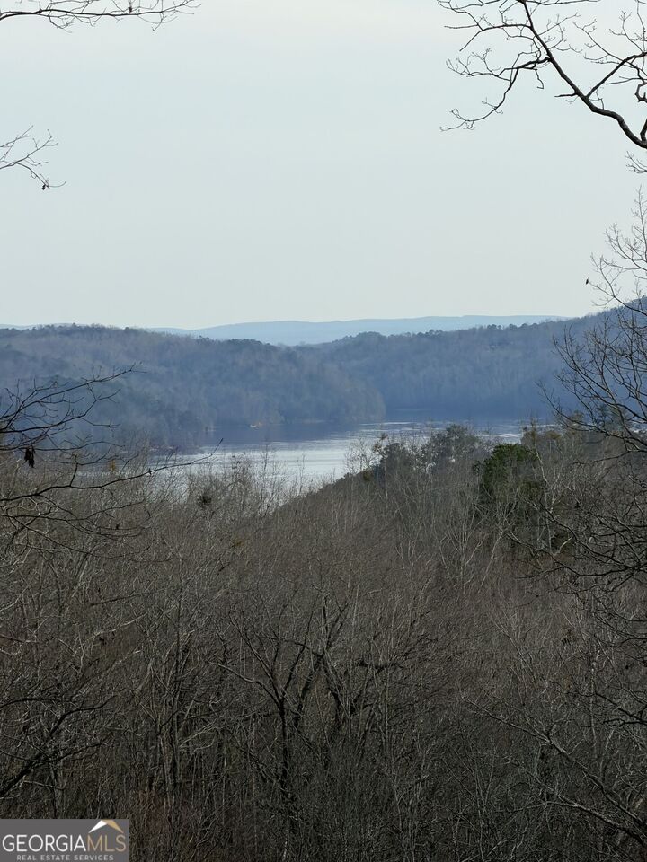 Property Photo:  439 Buck Creek Road  GA 30540 