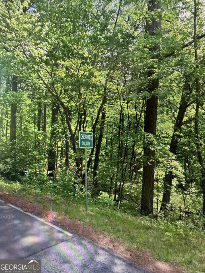 Property Photo:  0 Fairview Road  GA 30107 