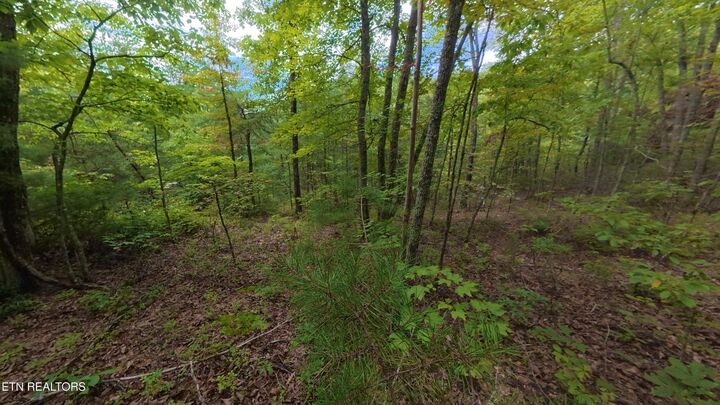 Property Photo:  Lot 44 Shady Oaks Way  TN 37876 