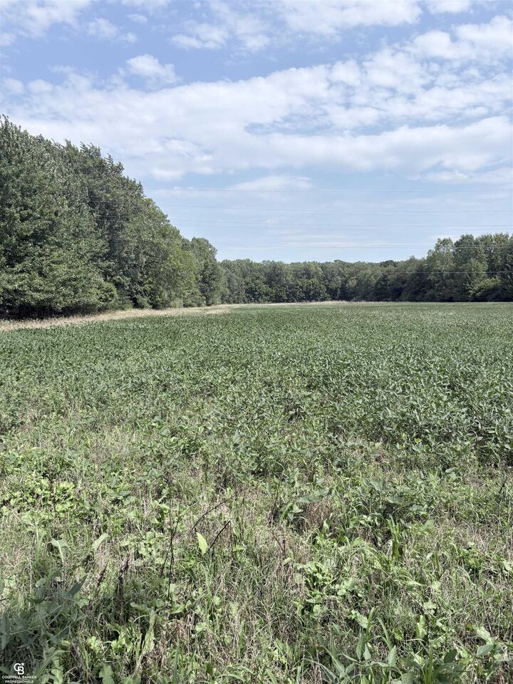 Property Photo: 000 Palms Road MI 48063