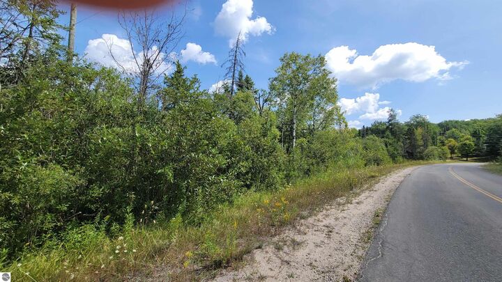 Property Photo: 15225 Lakeview Drive MI 49799