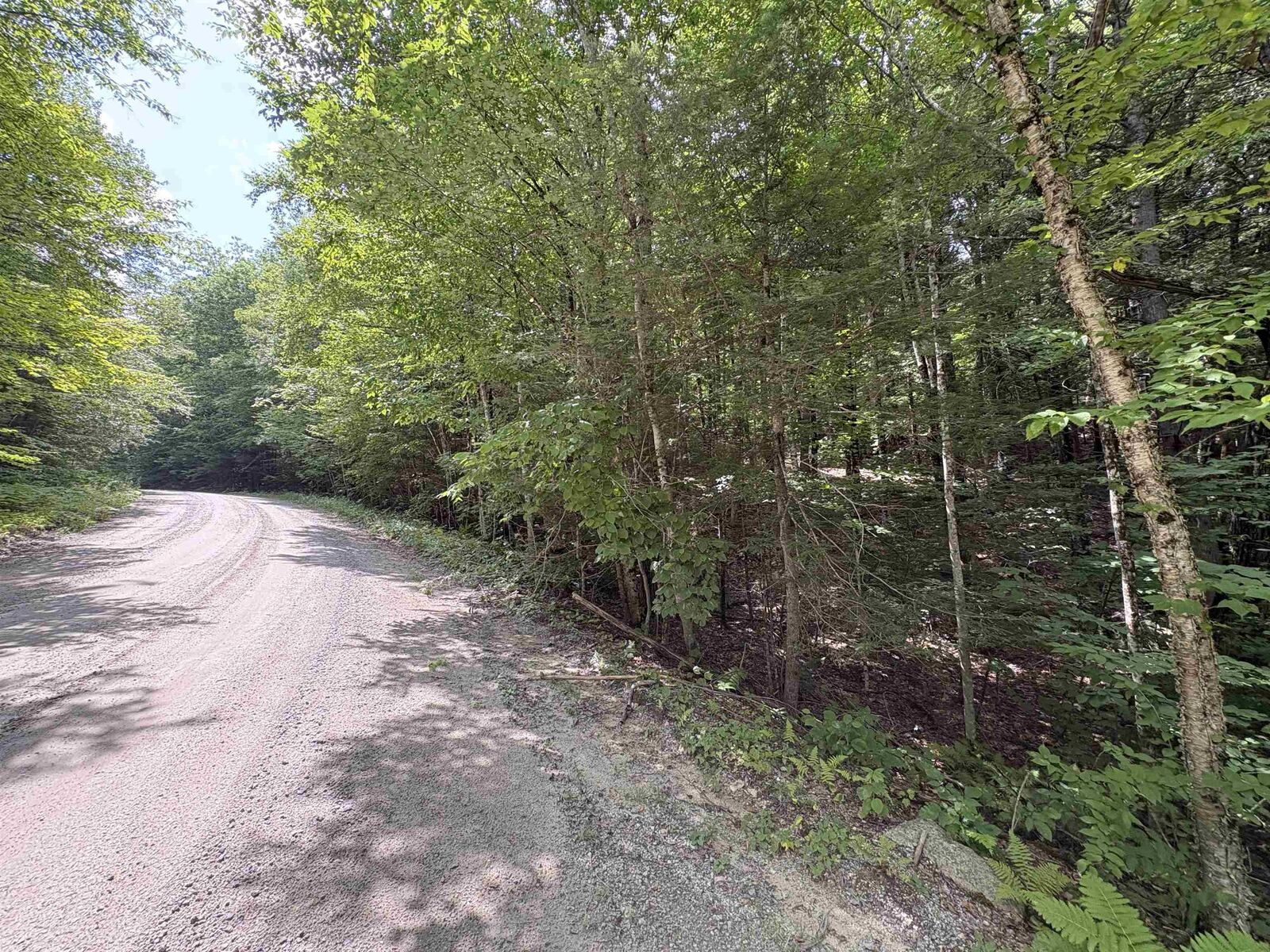 Property Photo: Craig Road NH 03440