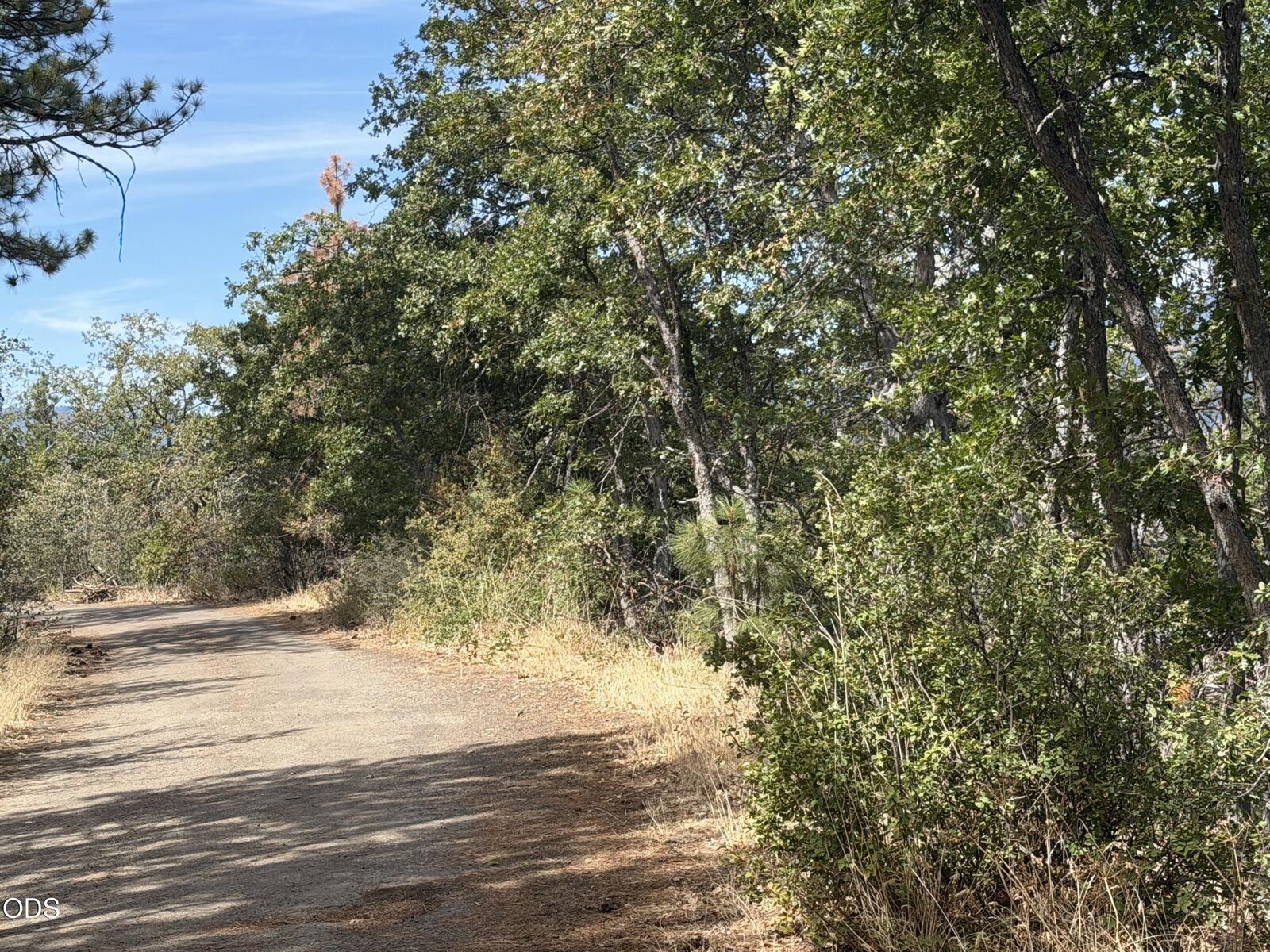 Property Photo:  13103 Old Highway 99 S  OR 97520 